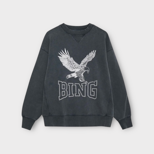 ANINE BING